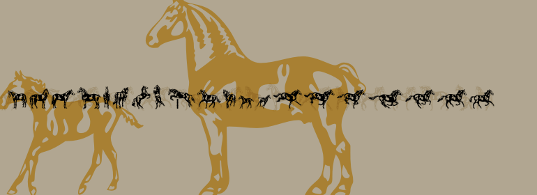 Linotype Dressage™