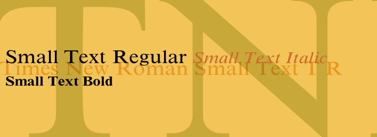 Times New Roman Small Text