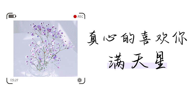 方正手迹-真心的喜欢你满天星